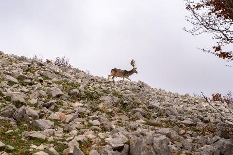 PEAKS OF SICILY: TREKKING THE MADONIE TRAVERSE