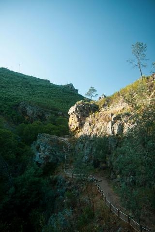 galleria-immagine