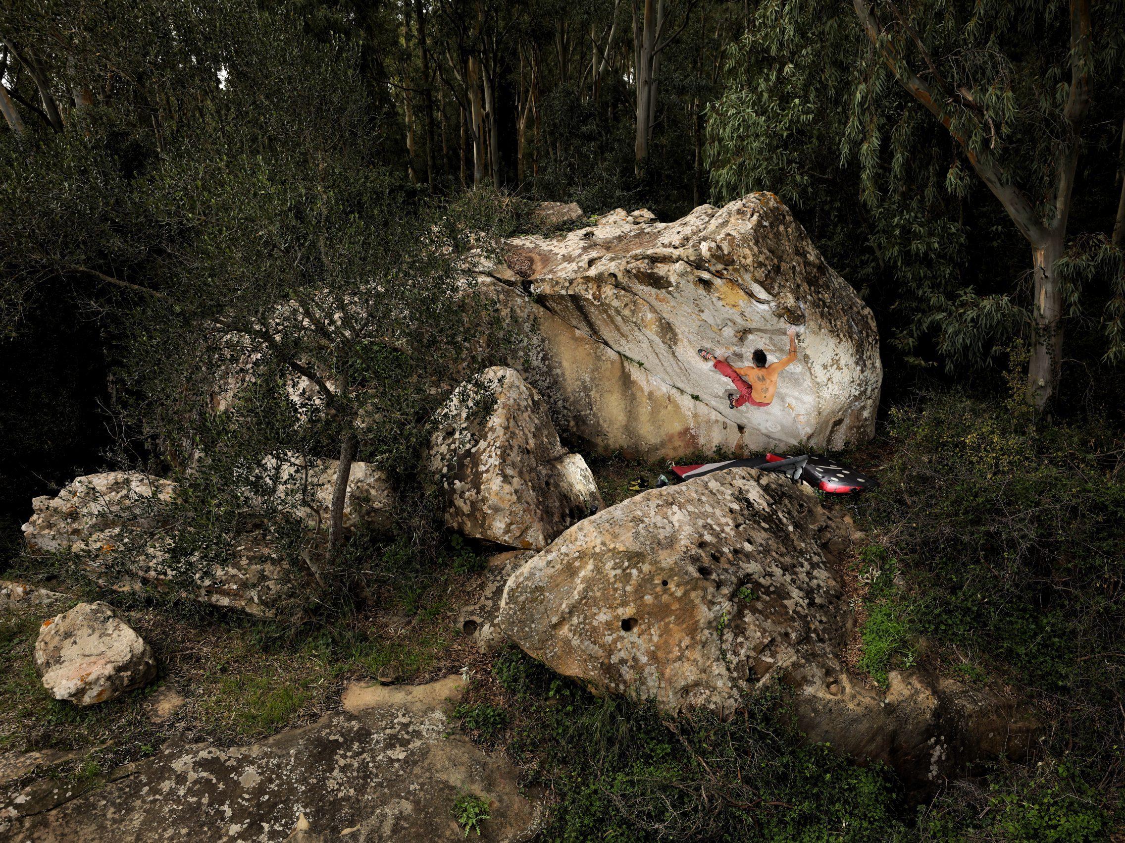 L'uomo della foresta: Una storia di migrazione, scalata e inseguimento.