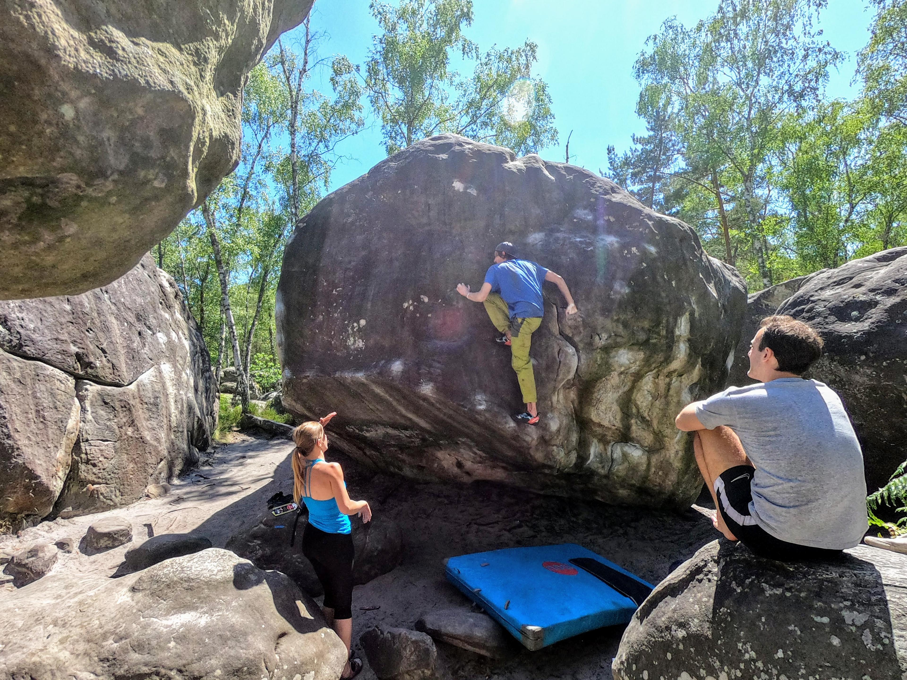 Rocher Canon: I boulder di Fontainebleau