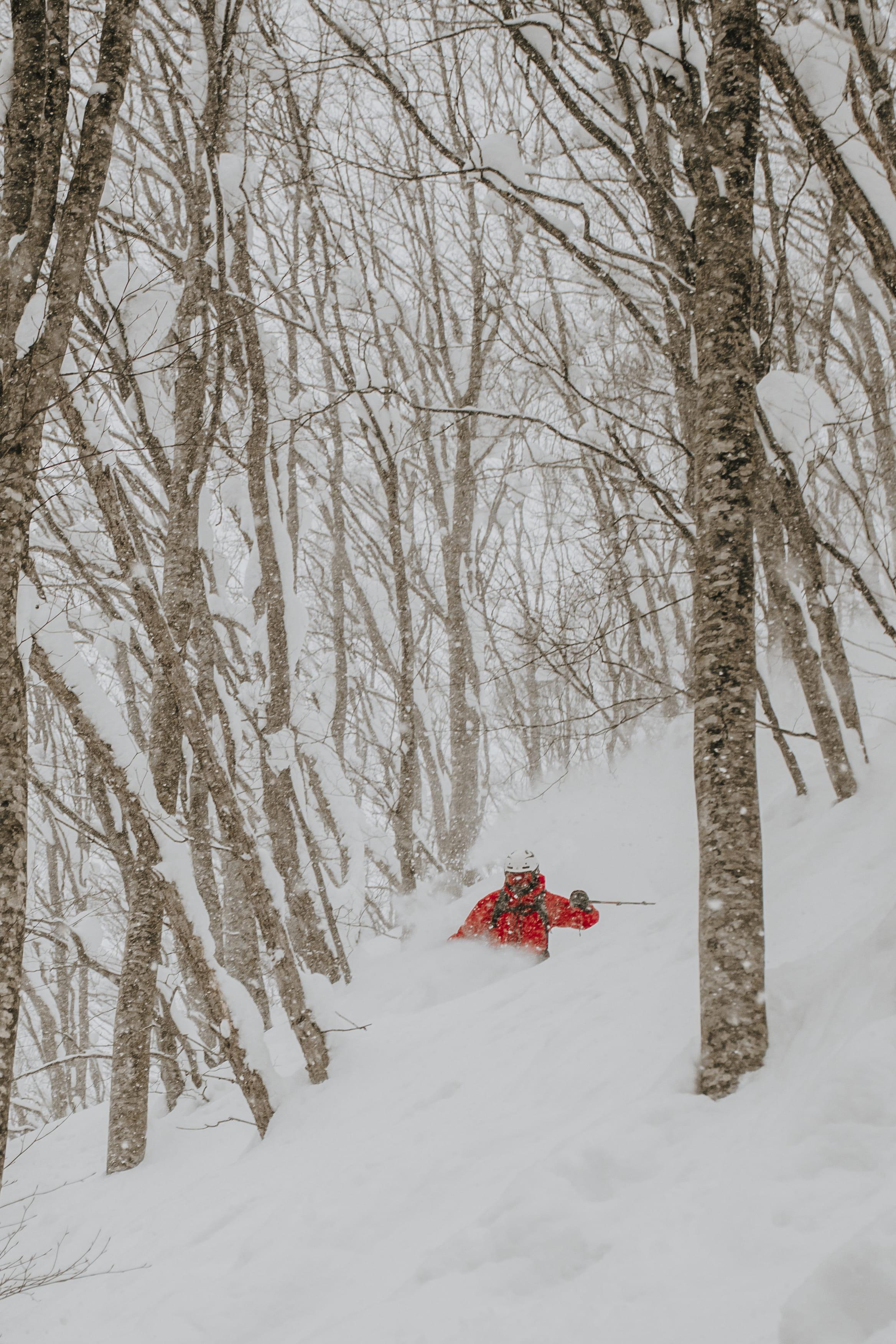 Immagine dell'itinerario