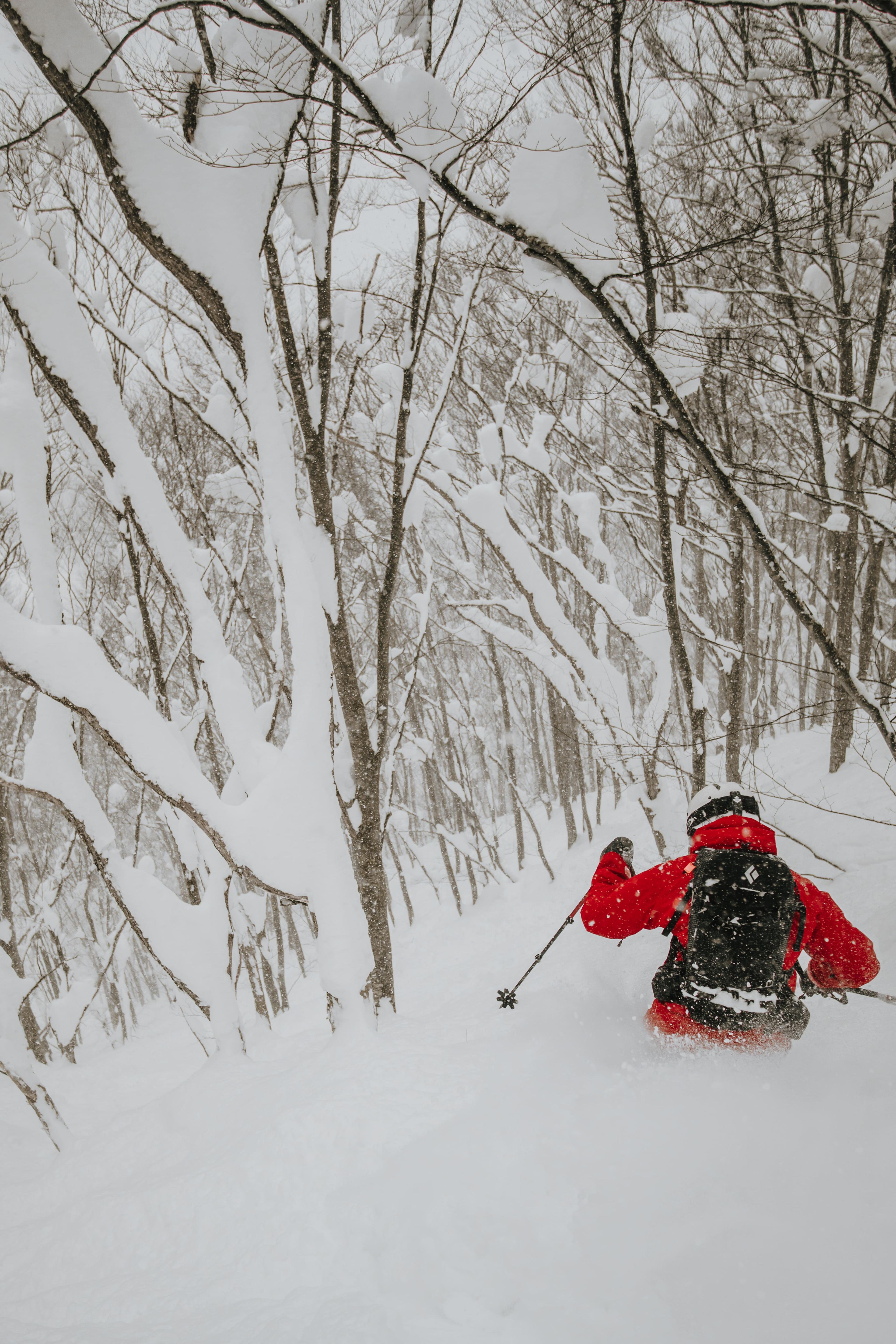 Immagine dell'itinerario