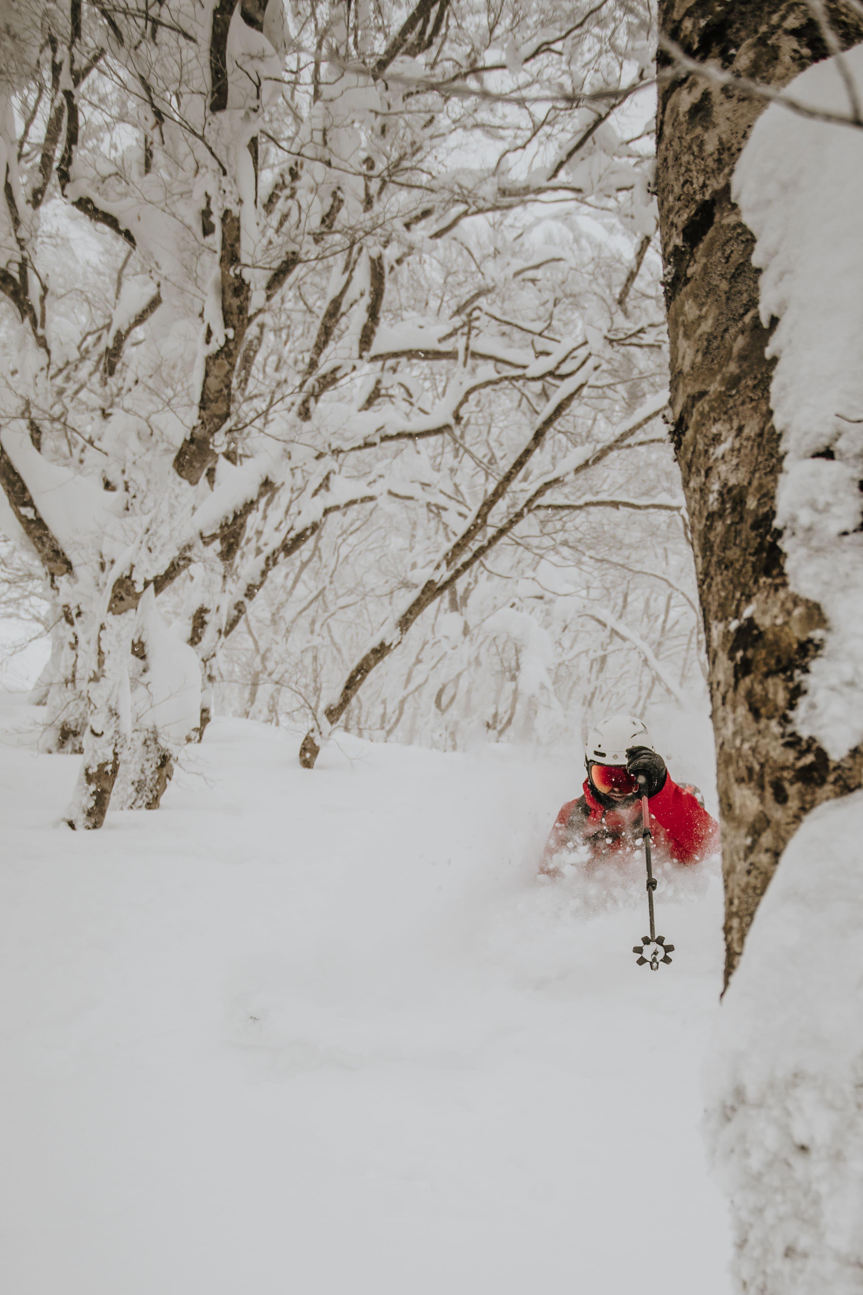 Immagine dell'itinerario