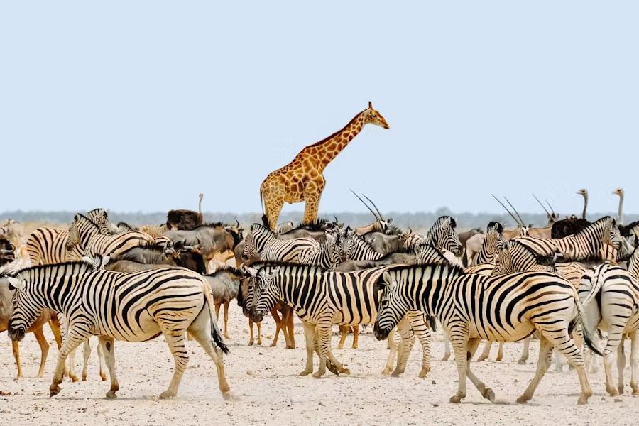 Immagine dell'itinerario