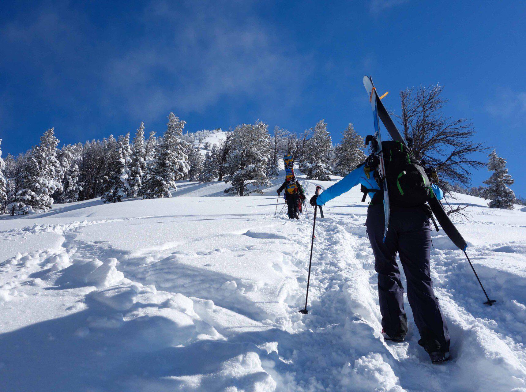 Immagine dell'itinerario