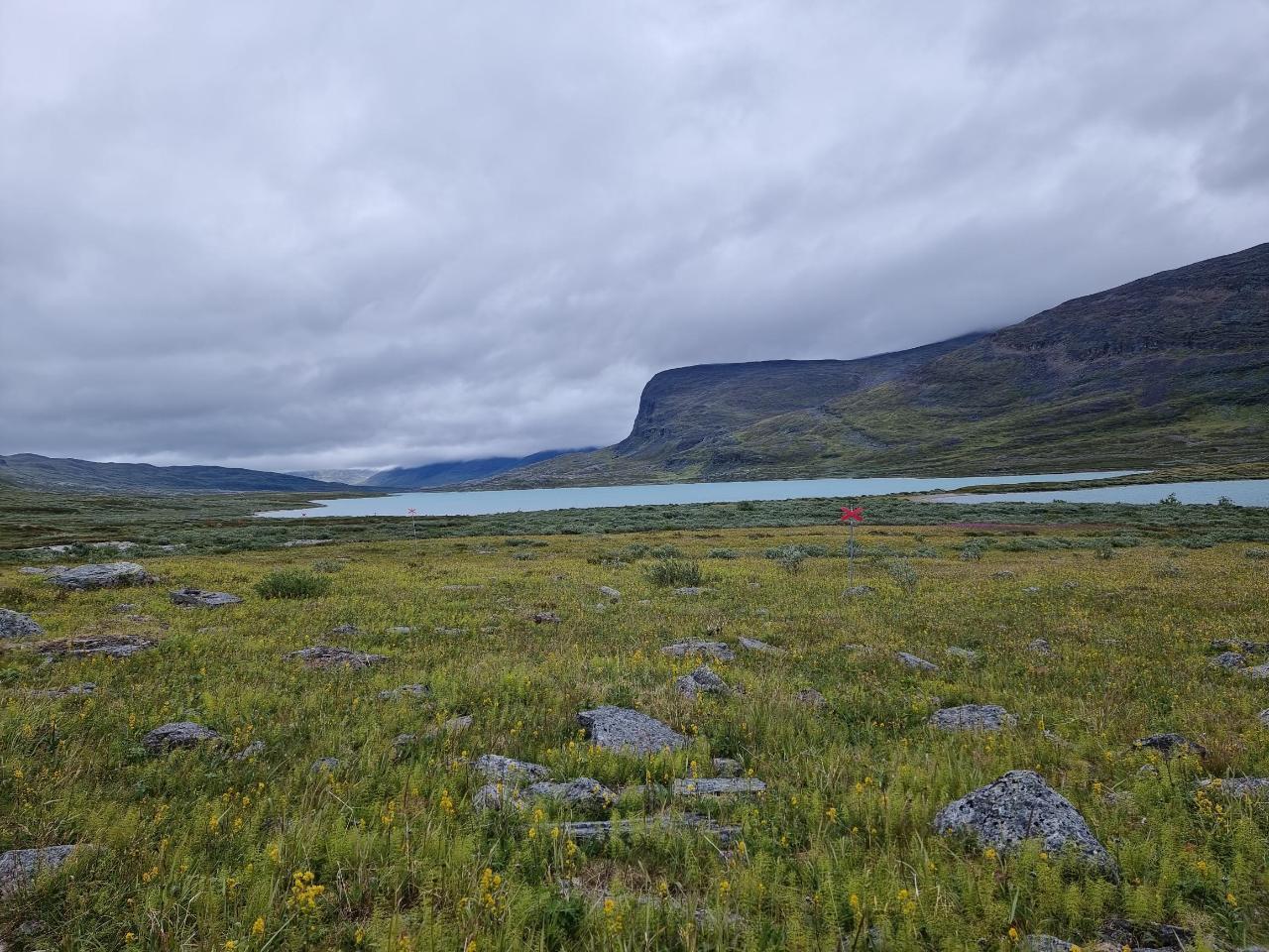 Immagine dell'itinerario