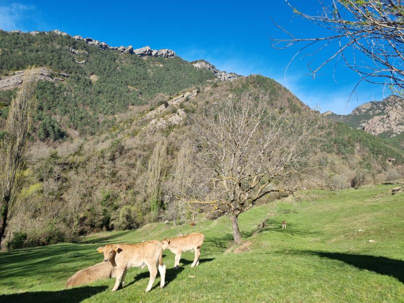 Immagine dell'itinerario