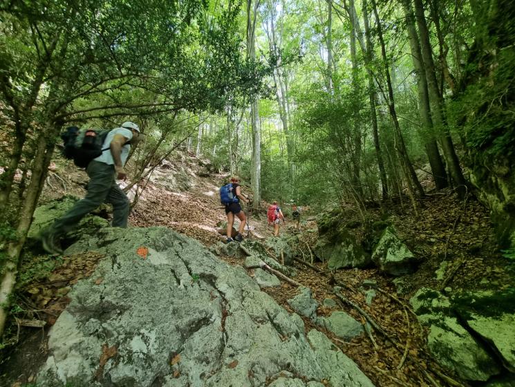 Immagine dell'itinerario