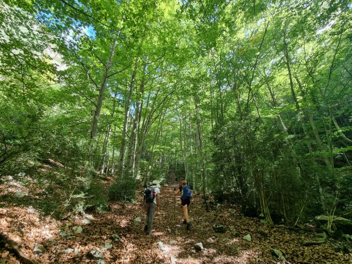 Immagine dell'itinerario