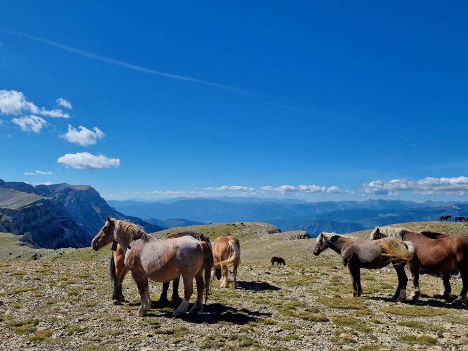 Immagine dell'itinerario