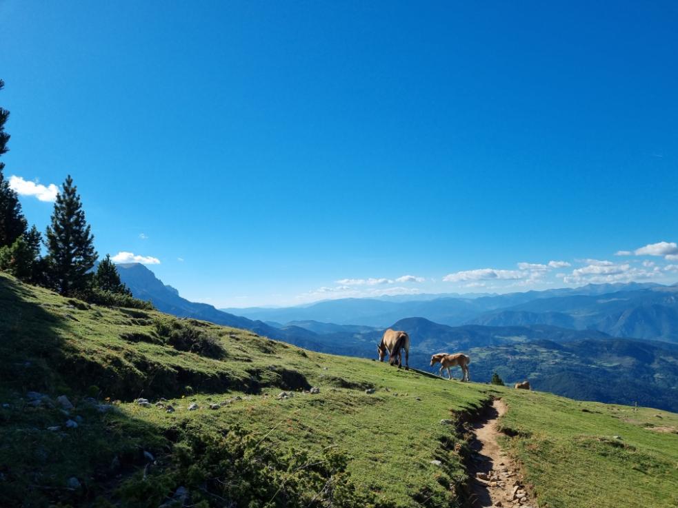 Immagine dell'itinerario