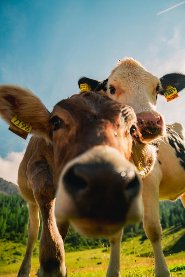 Immagine dell'itinerario