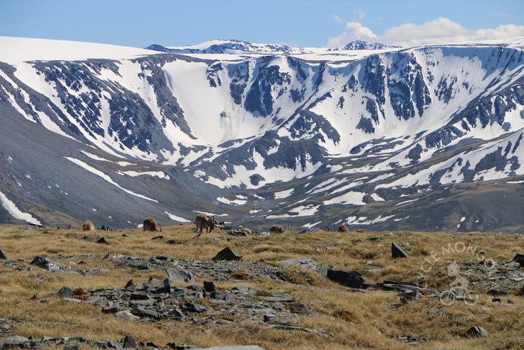 Immagine dell'itinerario