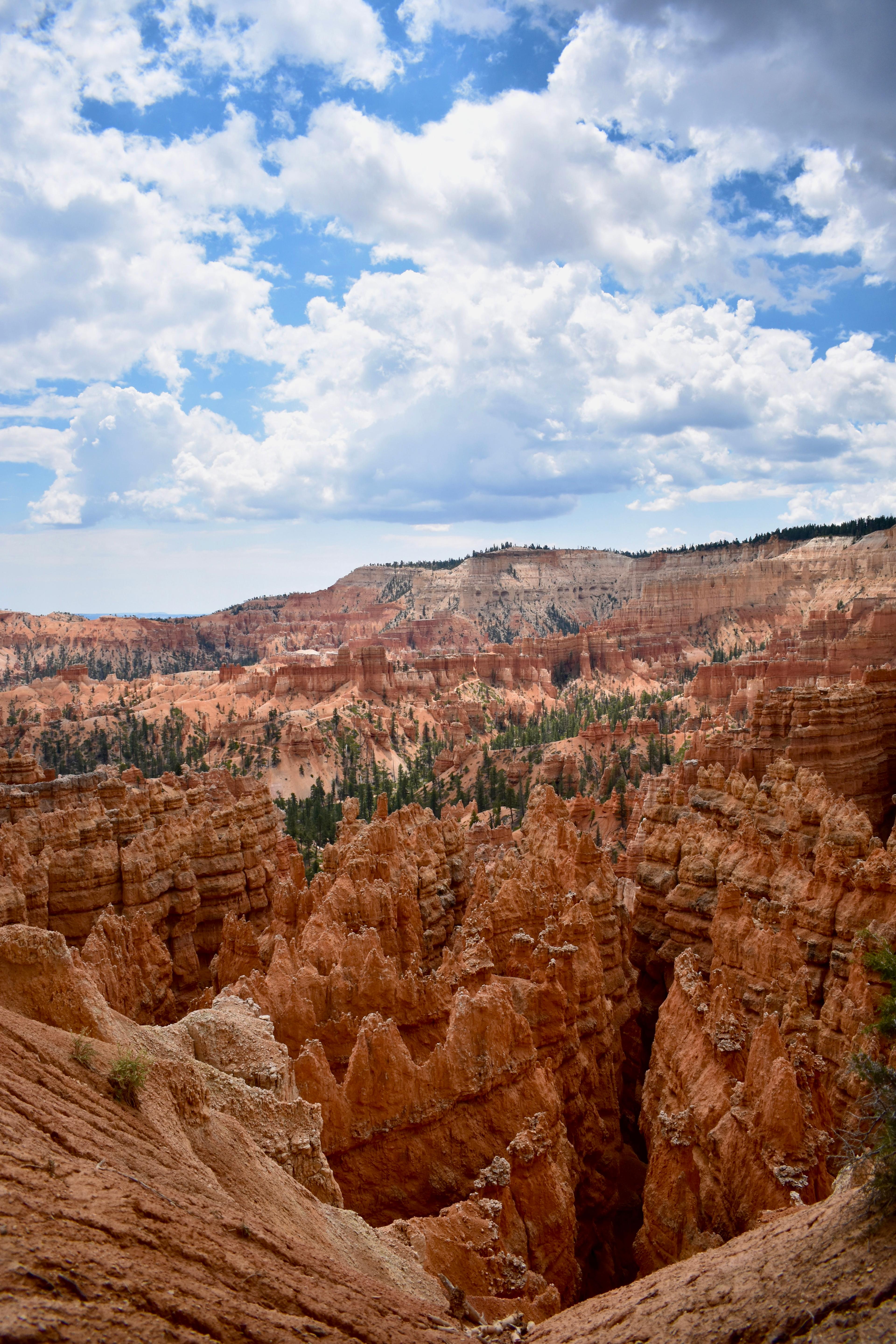 Immagine dell'itinerario