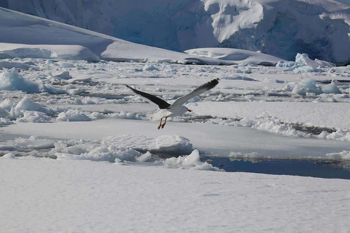 Immagine dell'itinerario