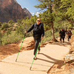 Bailee e le avventure del buon viaggio