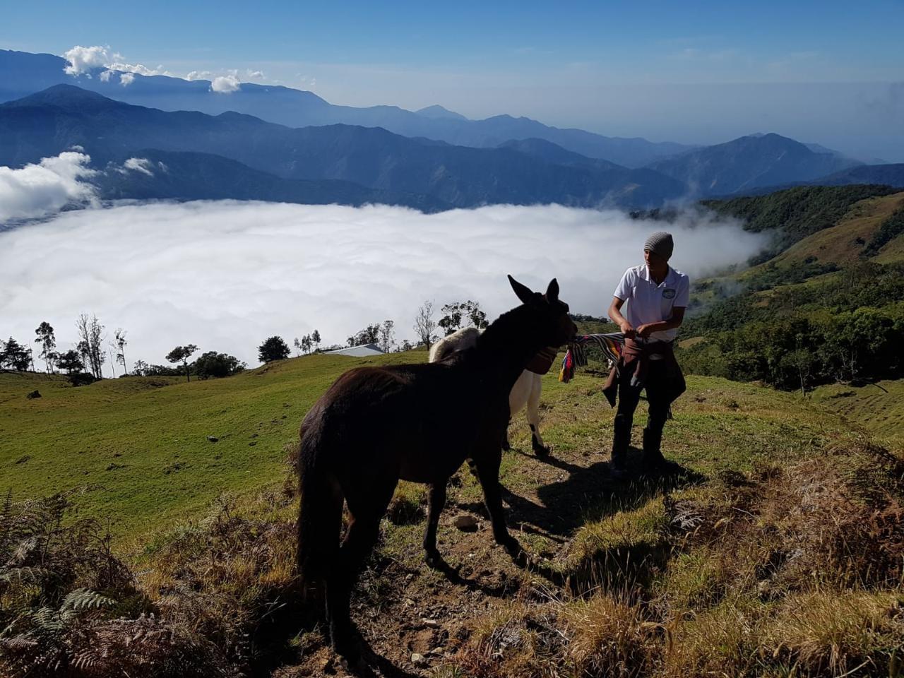 Immagine dell'itinerario