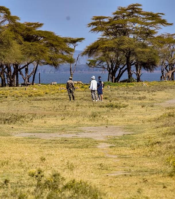 Immagine dell'itinerario