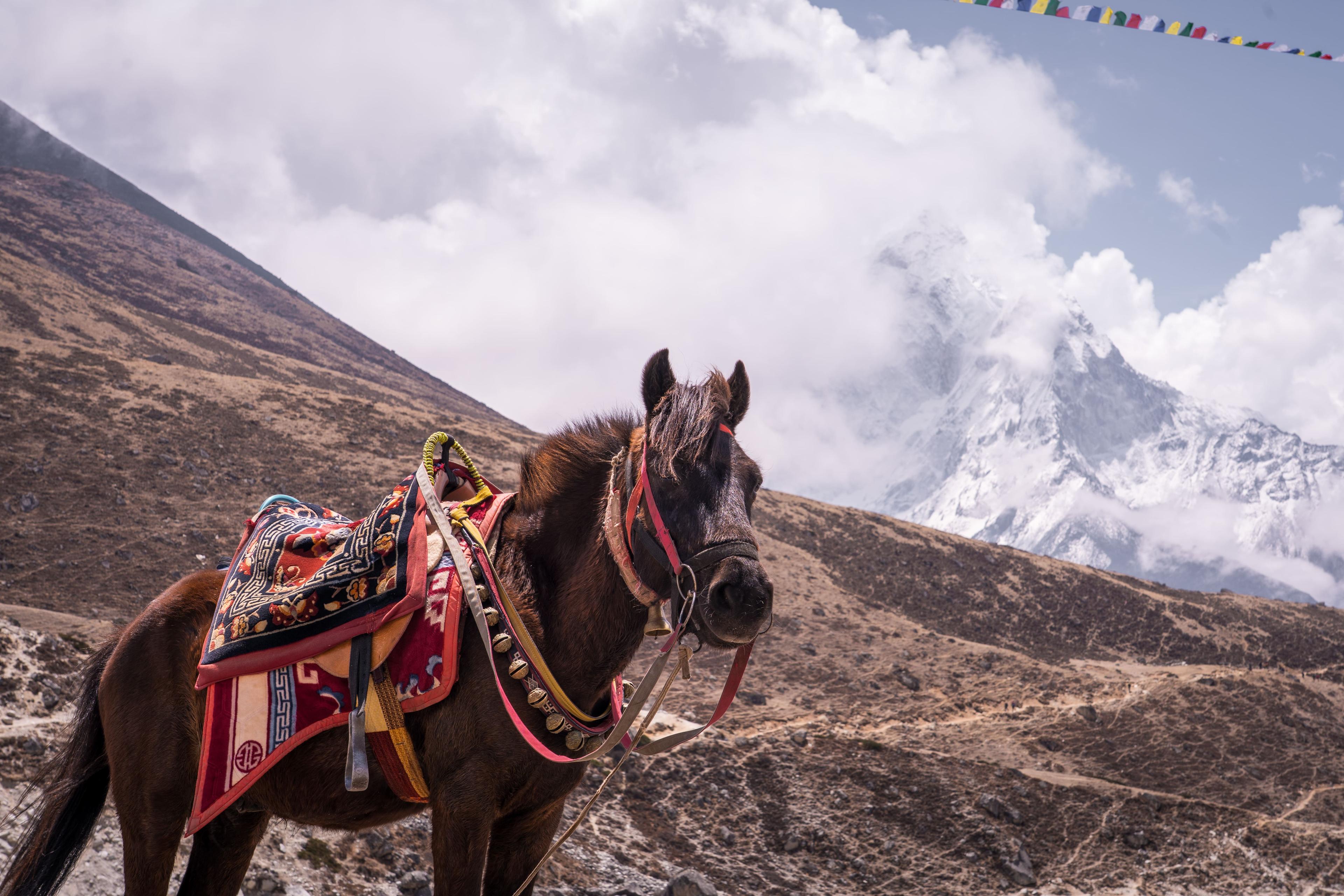 Immagine dell'itinerario