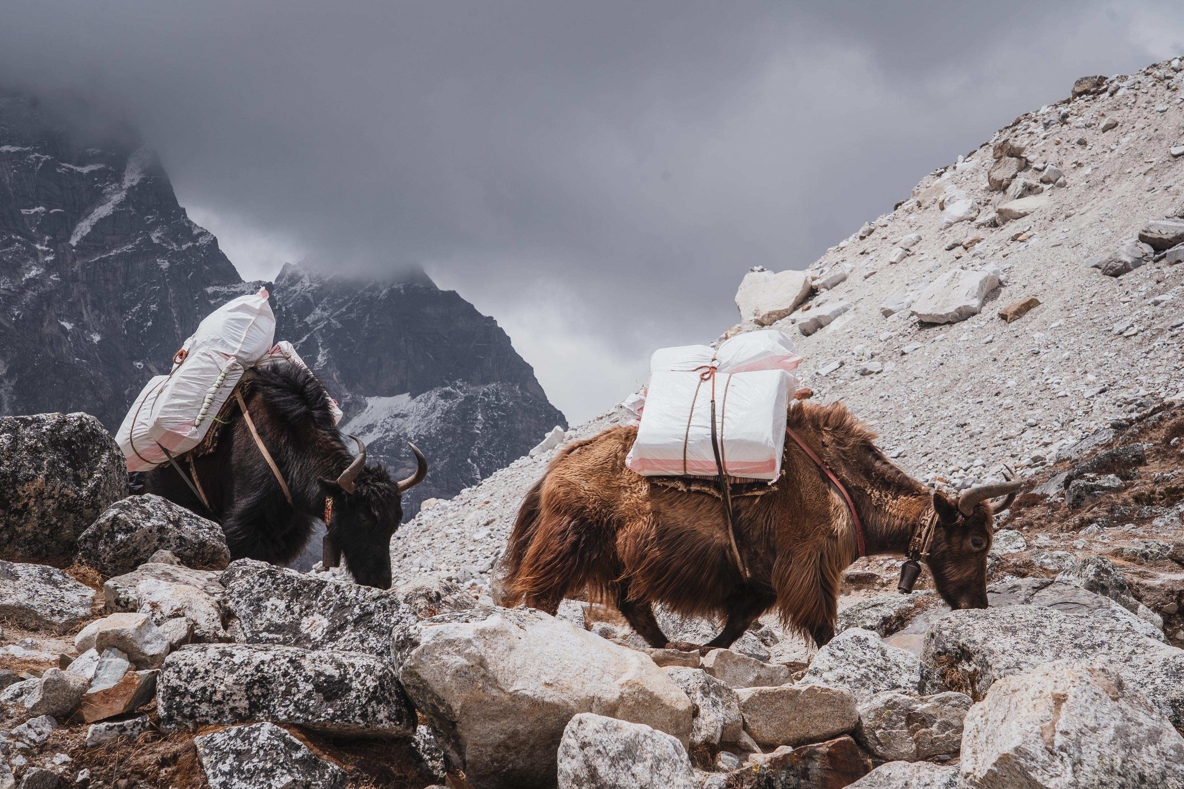 Immagine dell'itinerario