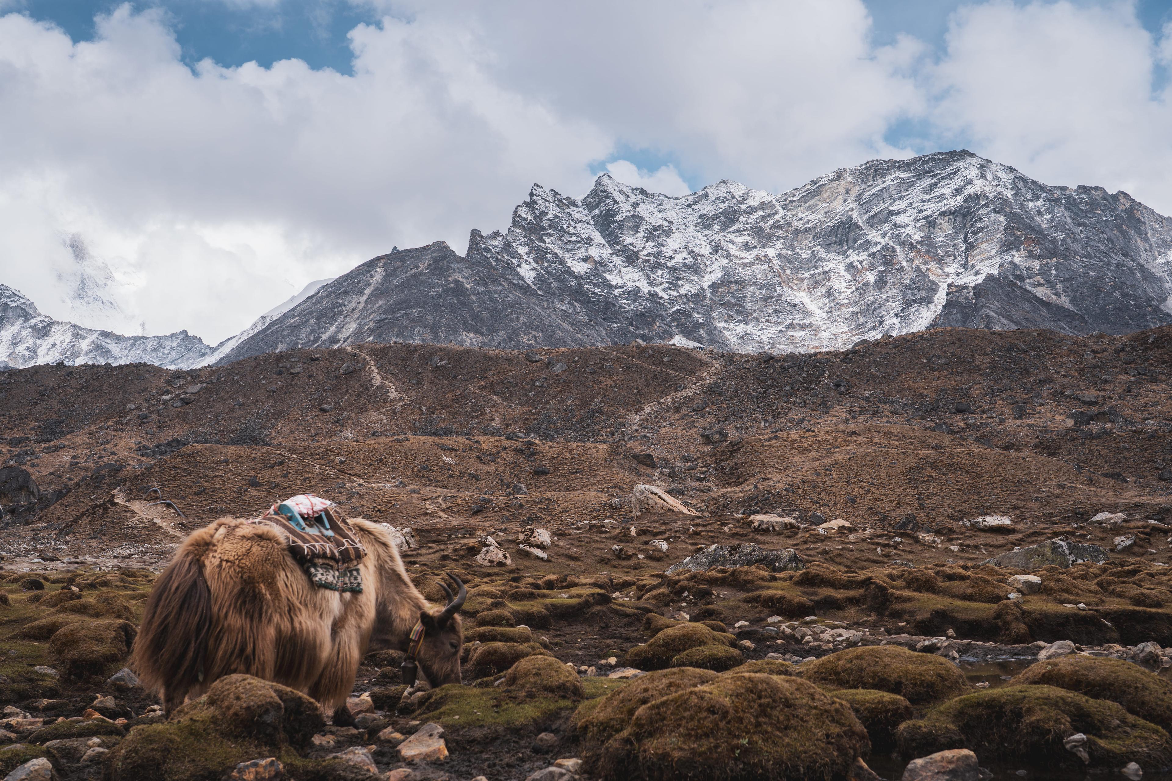 Immagine dell'itinerario