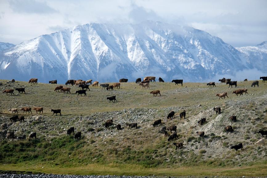 Immagine dell'itinerario