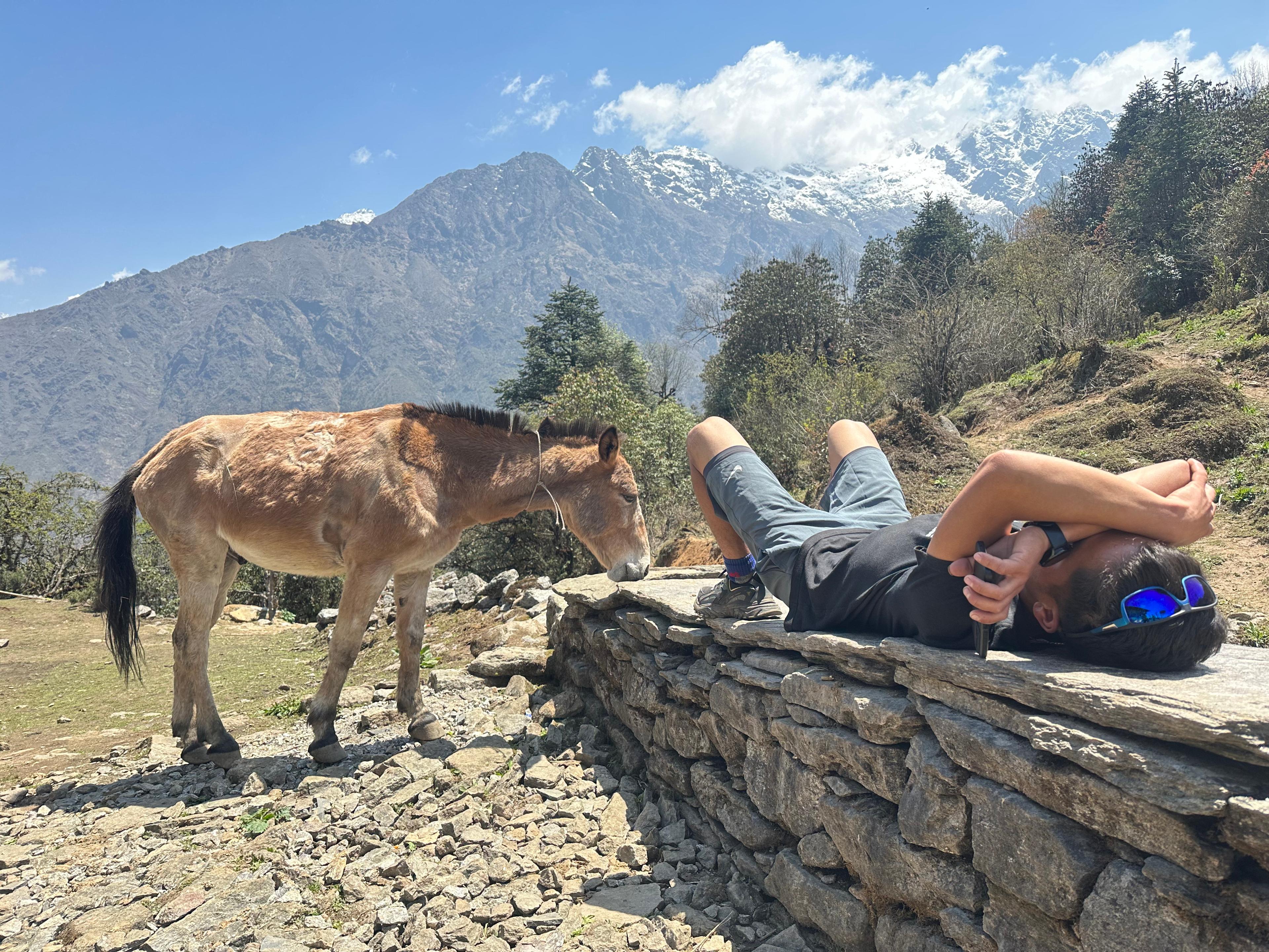 Immagine dell'itinerario