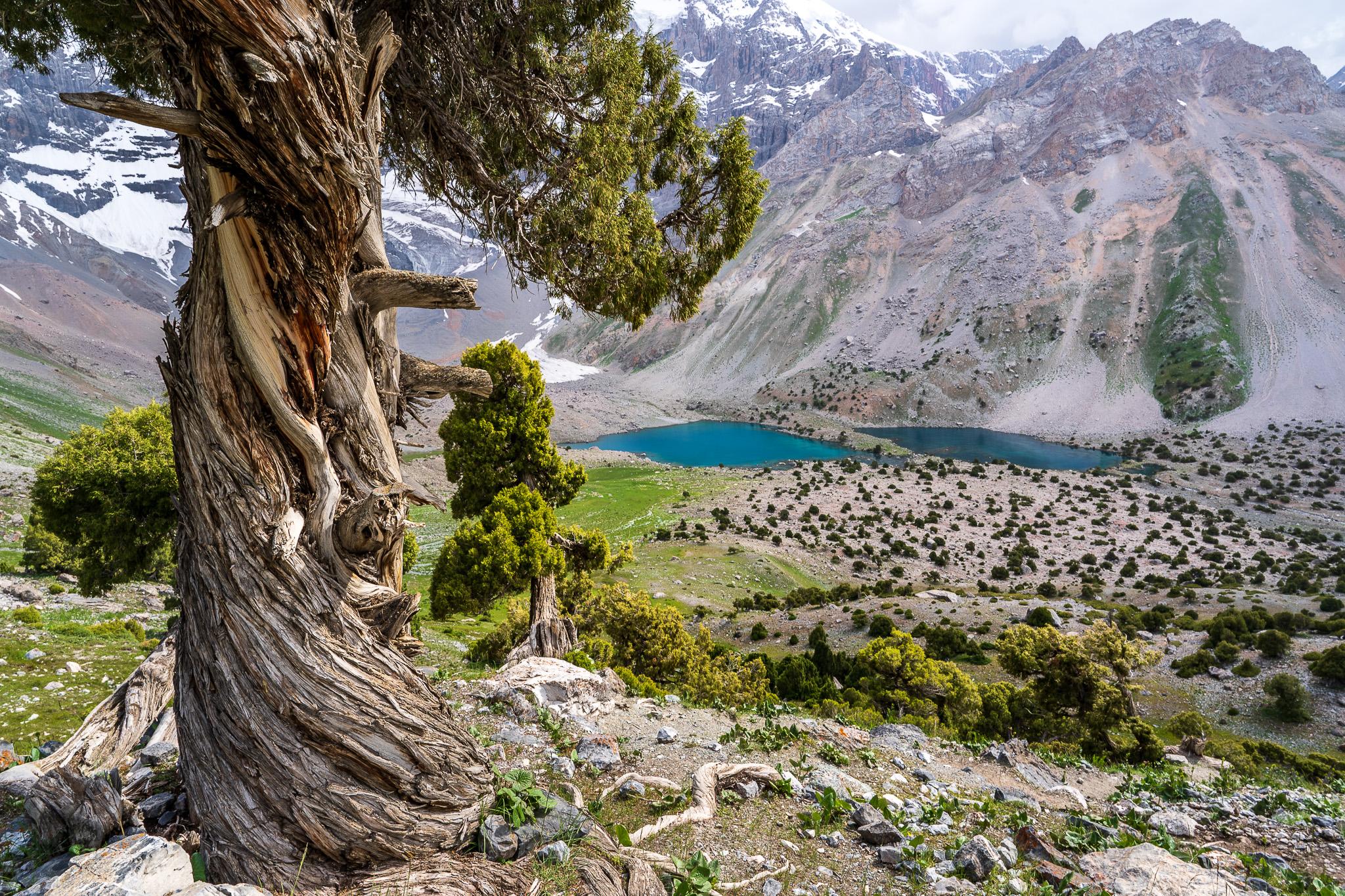 Immagine dell'itinerario