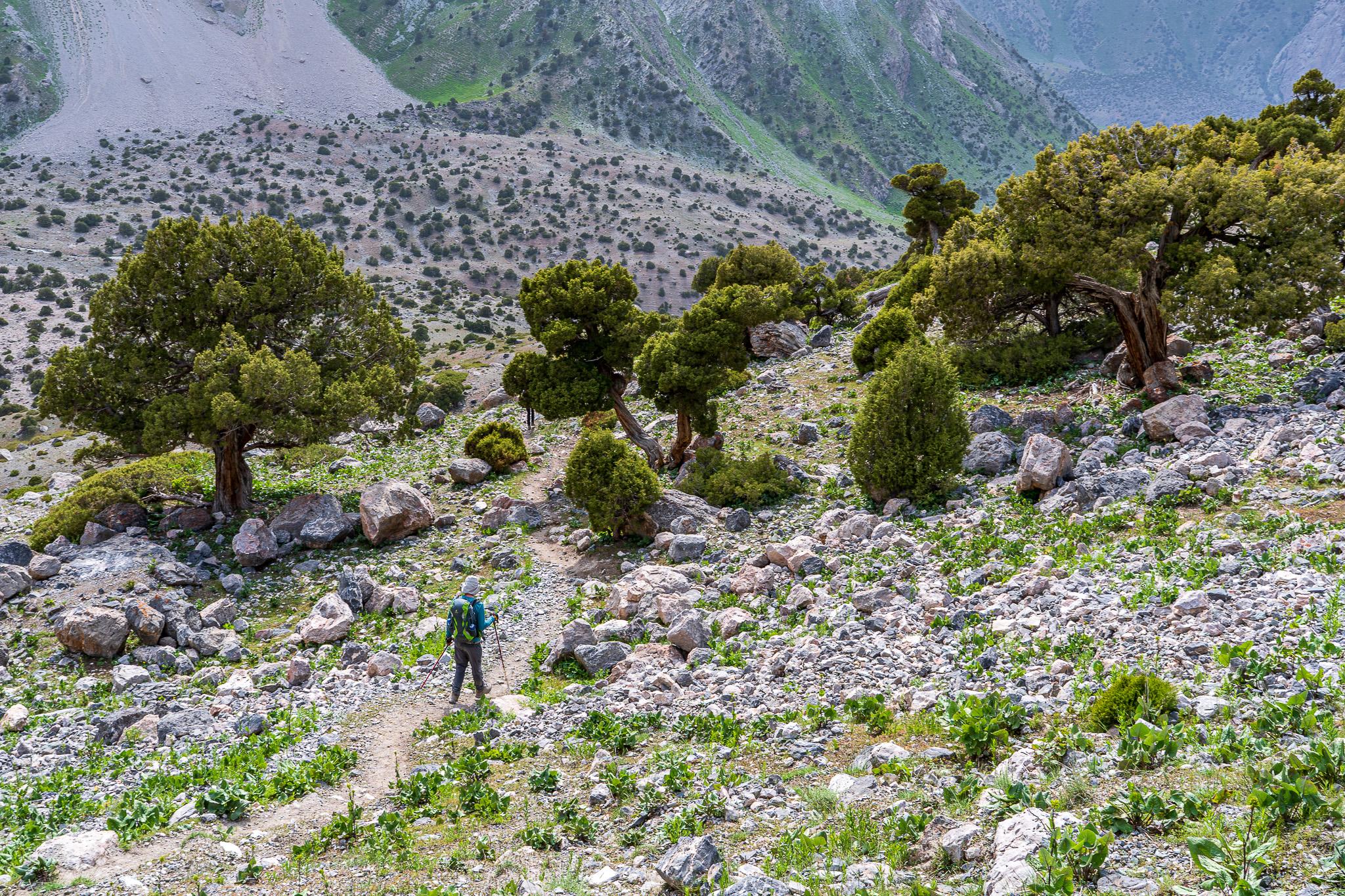 Immagine dell'itinerario