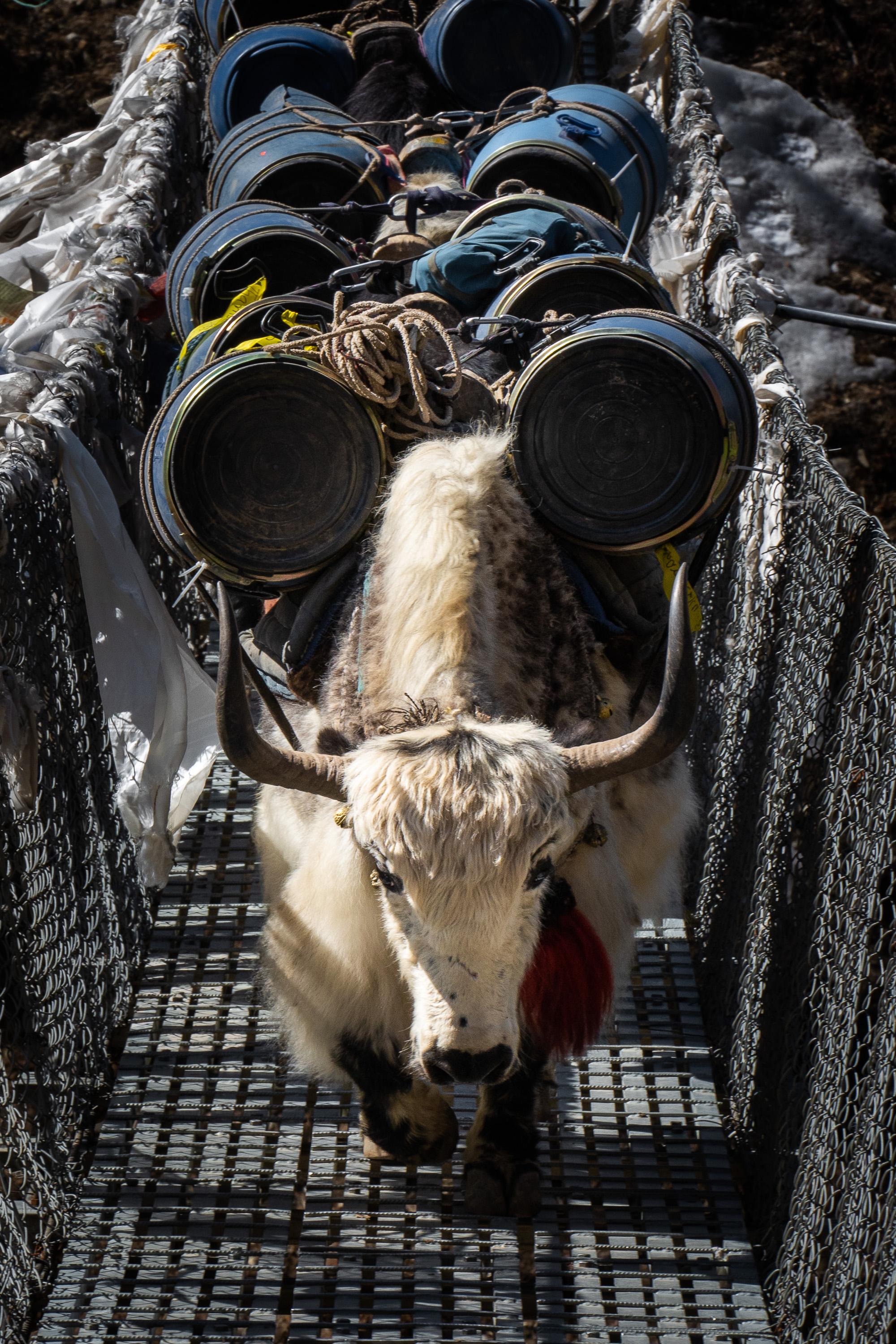 Immagine dell'itinerario