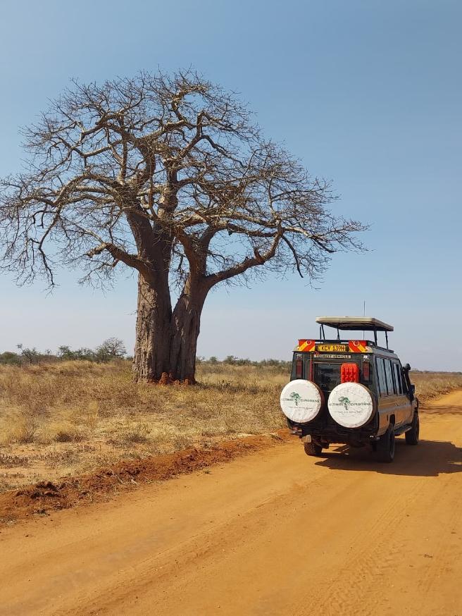 Immagine dell'itinerario