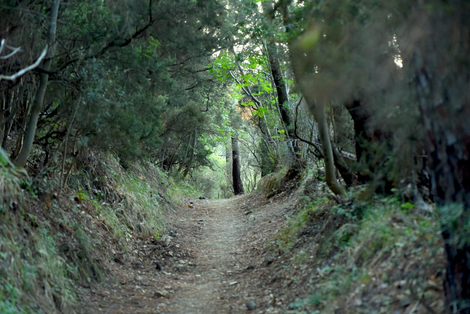 Immagine dell'itinerario