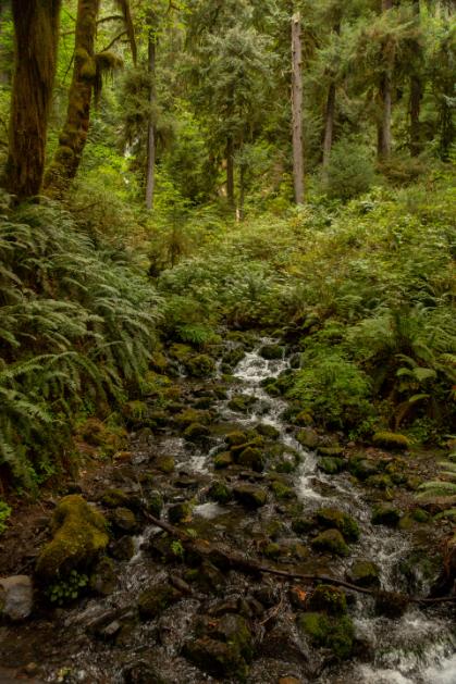 Immagine dell'itinerario