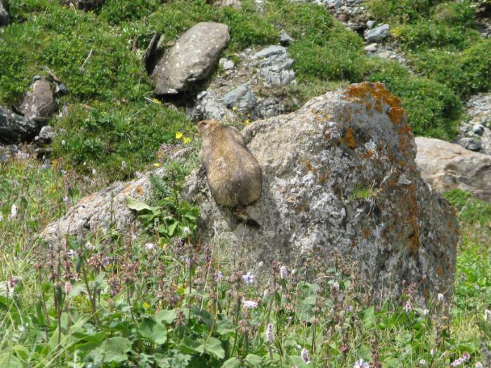 Immagine dell'itinerario