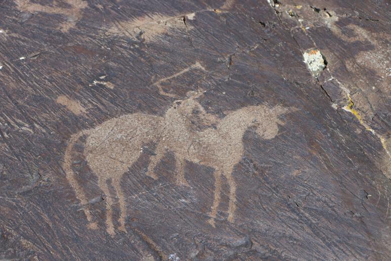 Immagine dell'itinerario