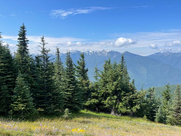 Immagine dell'itinerario