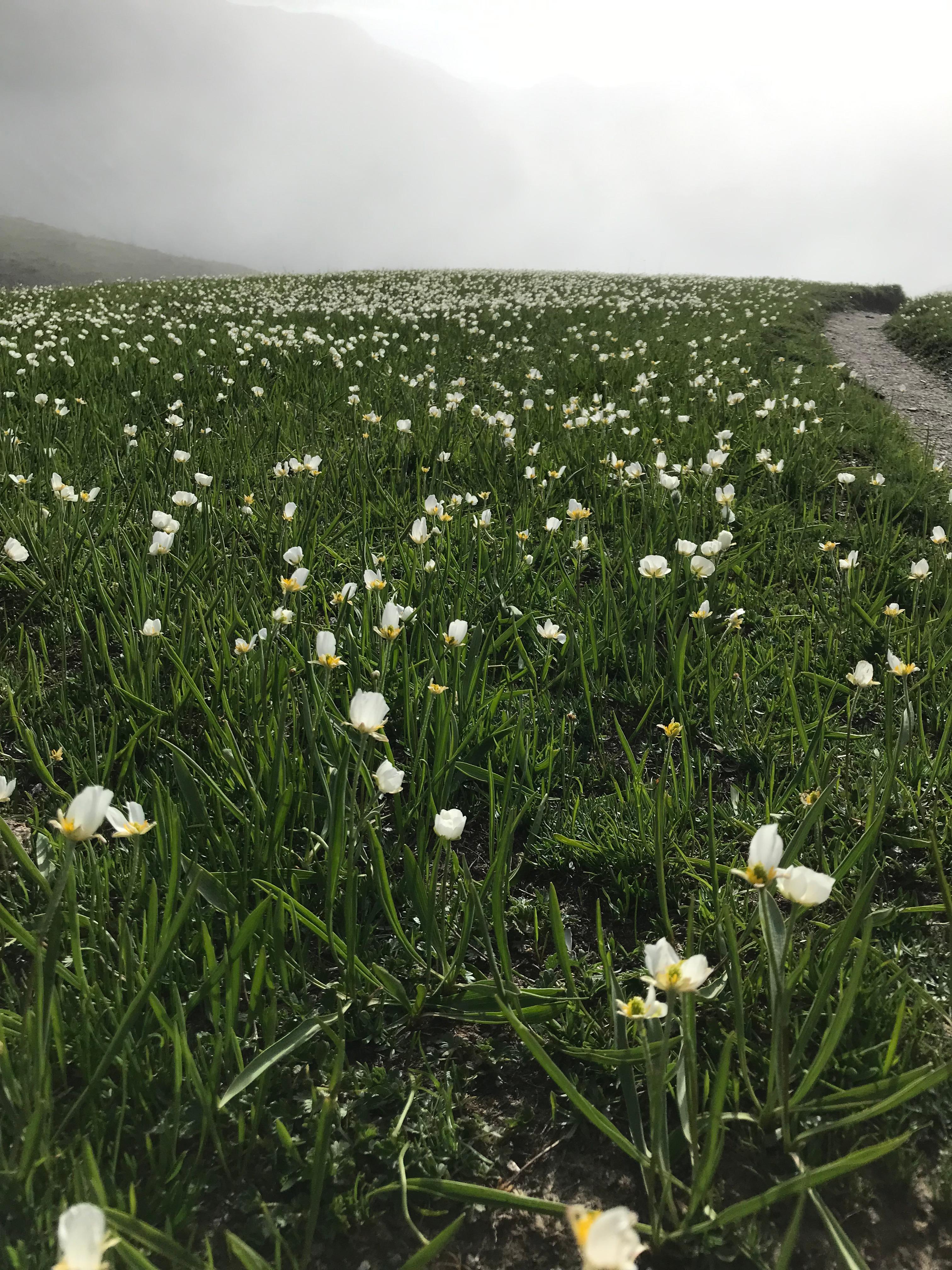 Immagine dell'itinerario