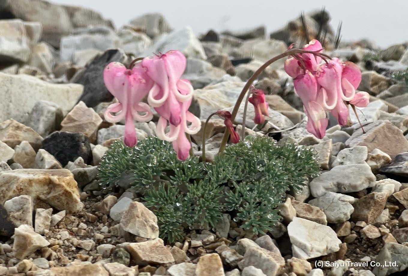 Immagine dell'itinerario