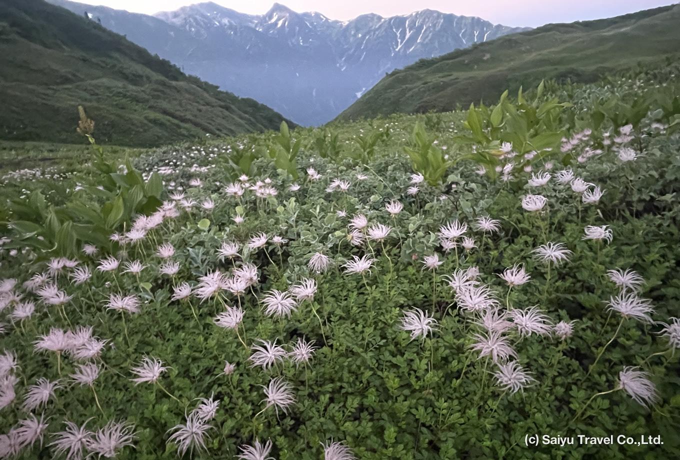 Immagine dell'itinerario