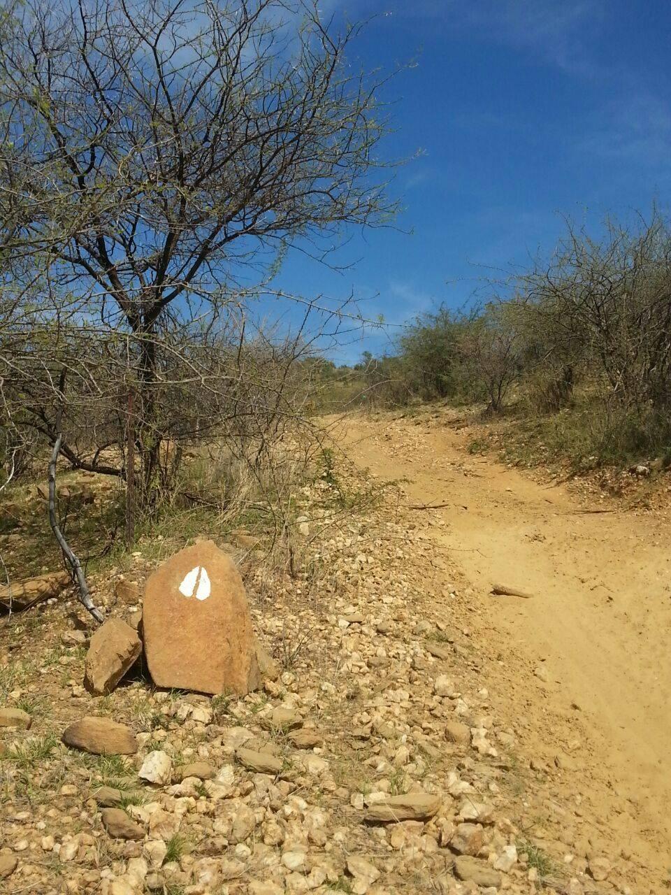 Immagine dell'itinerario