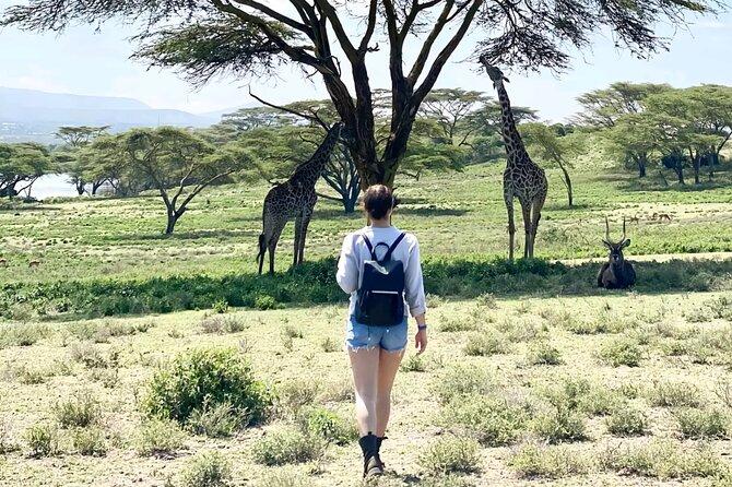 Immagine dell'itinerario