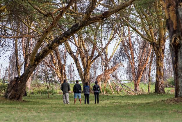 Immagine dell'itinerario