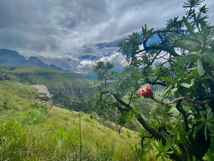 Immagine dell'itinerario