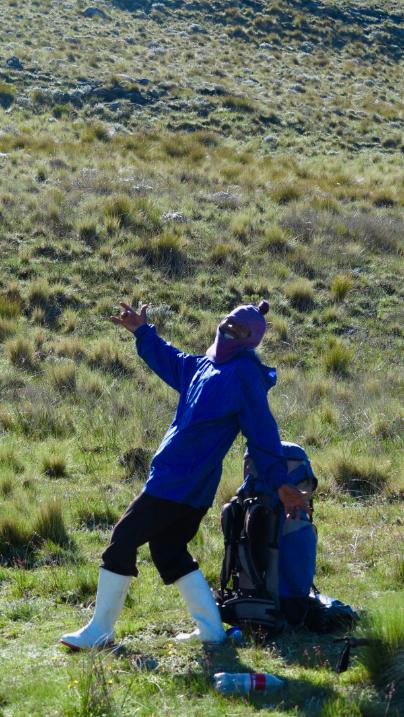 Immagine dell'itinerario