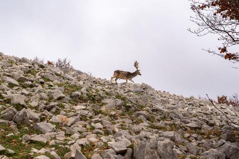 PEAKS OF SICILY: TREKKING THE MADONIE TRAVERSE