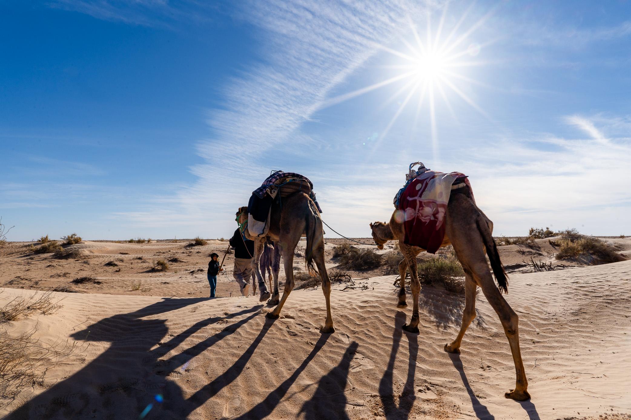 Immagine dell'itinerario