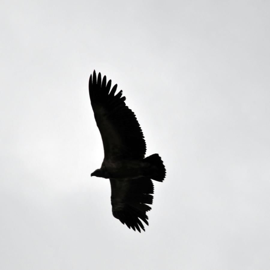 Immagine dell'itinerario