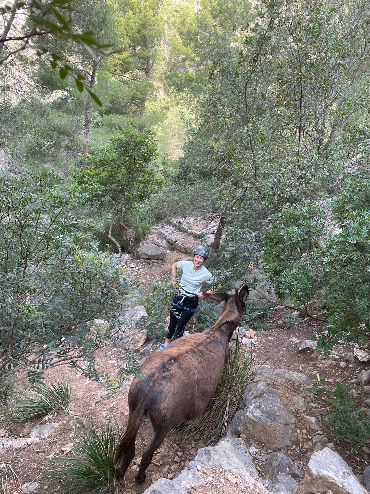 Immagine dell'itinerario