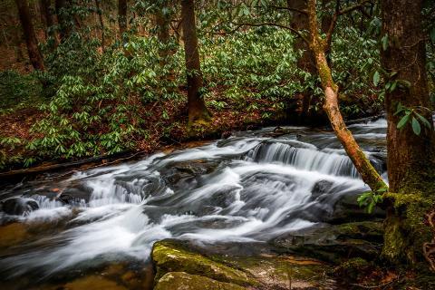 CLASSIC HIKE ON THE APPALACHIAN TRAIL - NORTH CAROLINA, USA