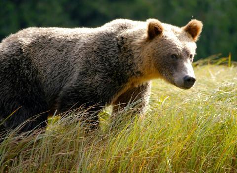 EXPLORE CANADA’S WILD WEST COAST TRAIL